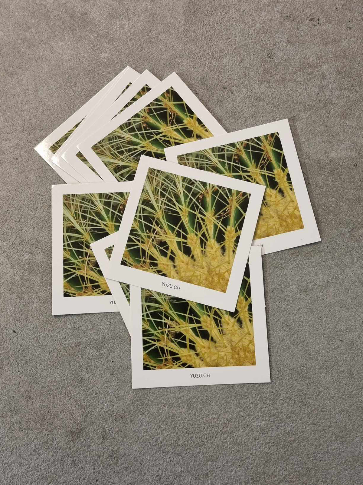 botanischerGartenmultiple_1200